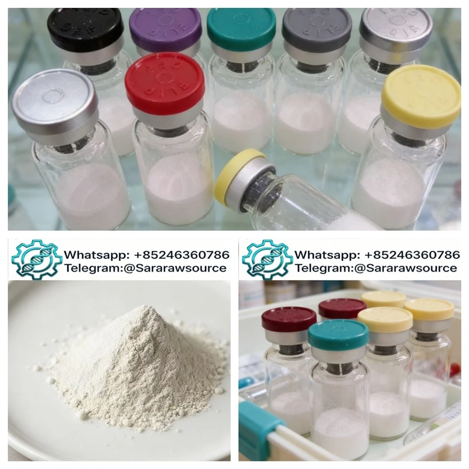 Premium High-purity Peptides Snap-8 10mg/vial suppliers